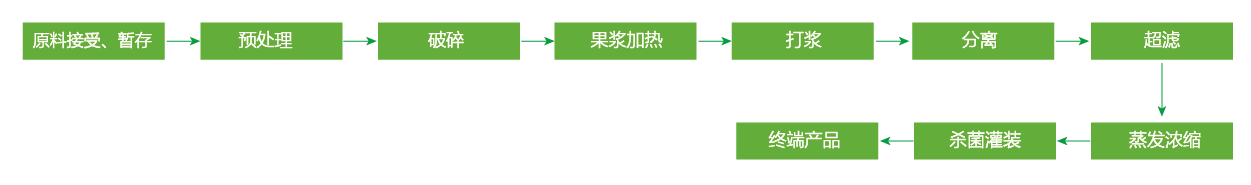 蓝莓、草莓、桑葚浓缩汁